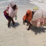 lZNWi0IJRny2wNw6ninRfQ